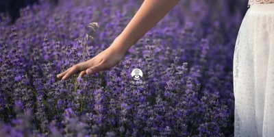 ai reiki silvia castro